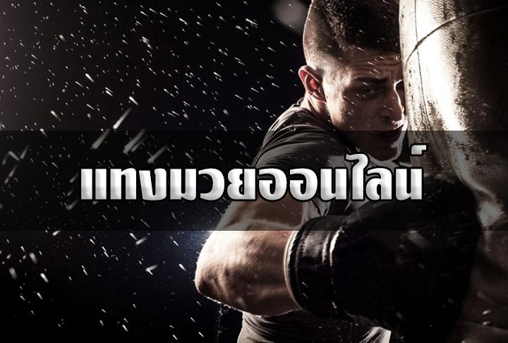 แทงมวยออนไลน์